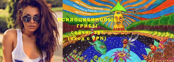 ALPHA PVP Баксан